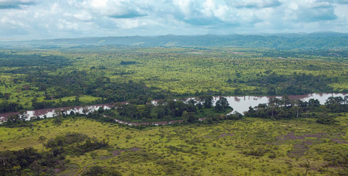 New Alliance Created to Launch Gabon’s next sustainable forestry player image