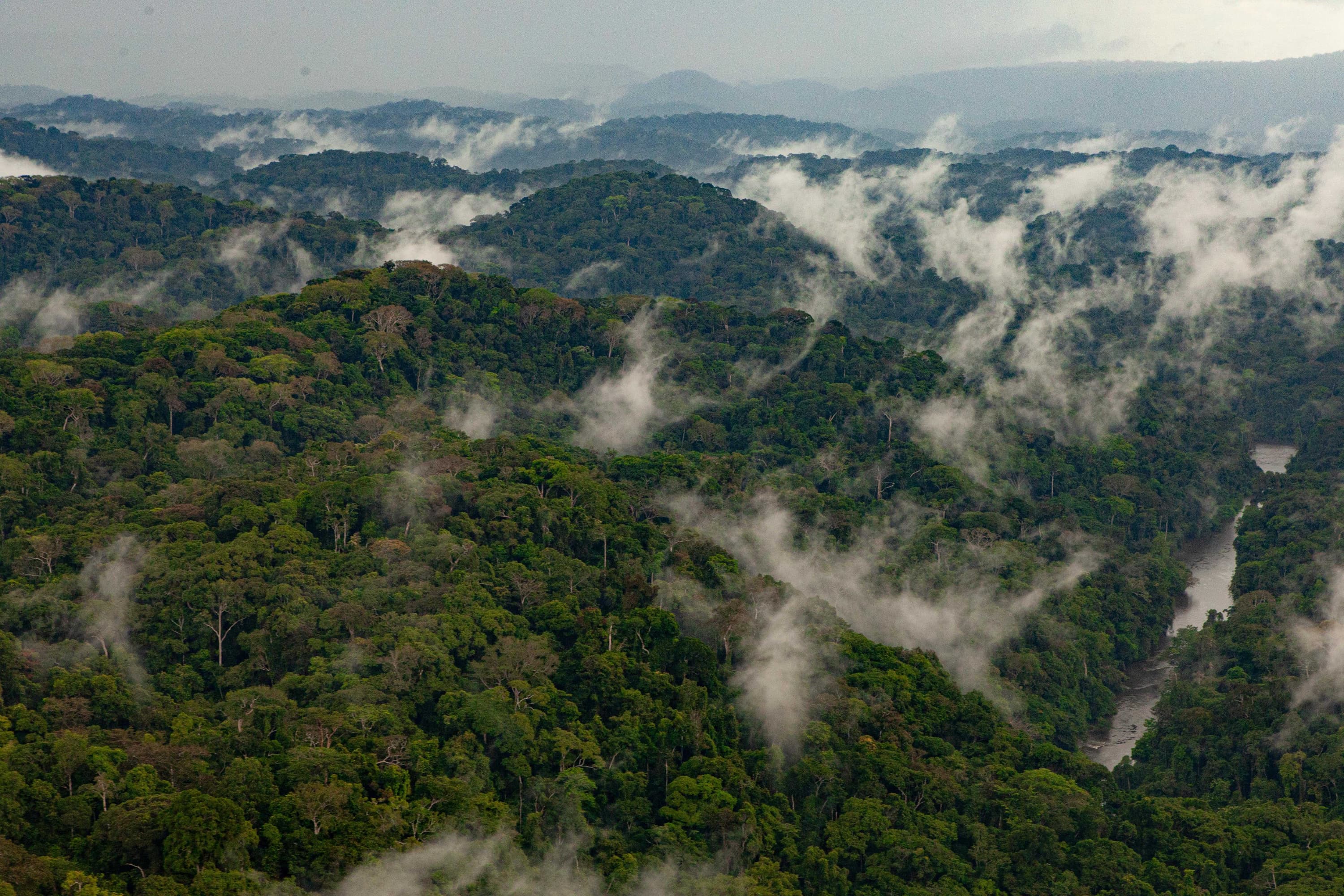 Développement Durable Respectueux du Climat
