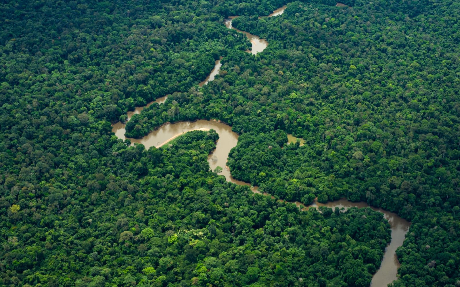 Gabon: 'Very difficult' to protect Great Congo Basin unless country rewarded for conservation efforts, minister warns