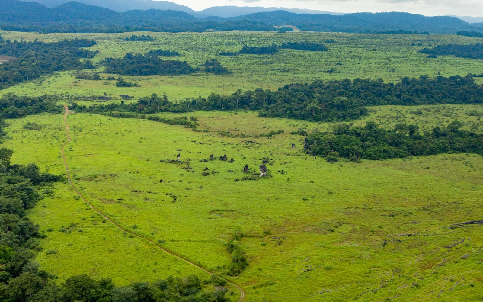Gabon’s forests nourish the Sahel and Blue Nile. What happens if they vanish?