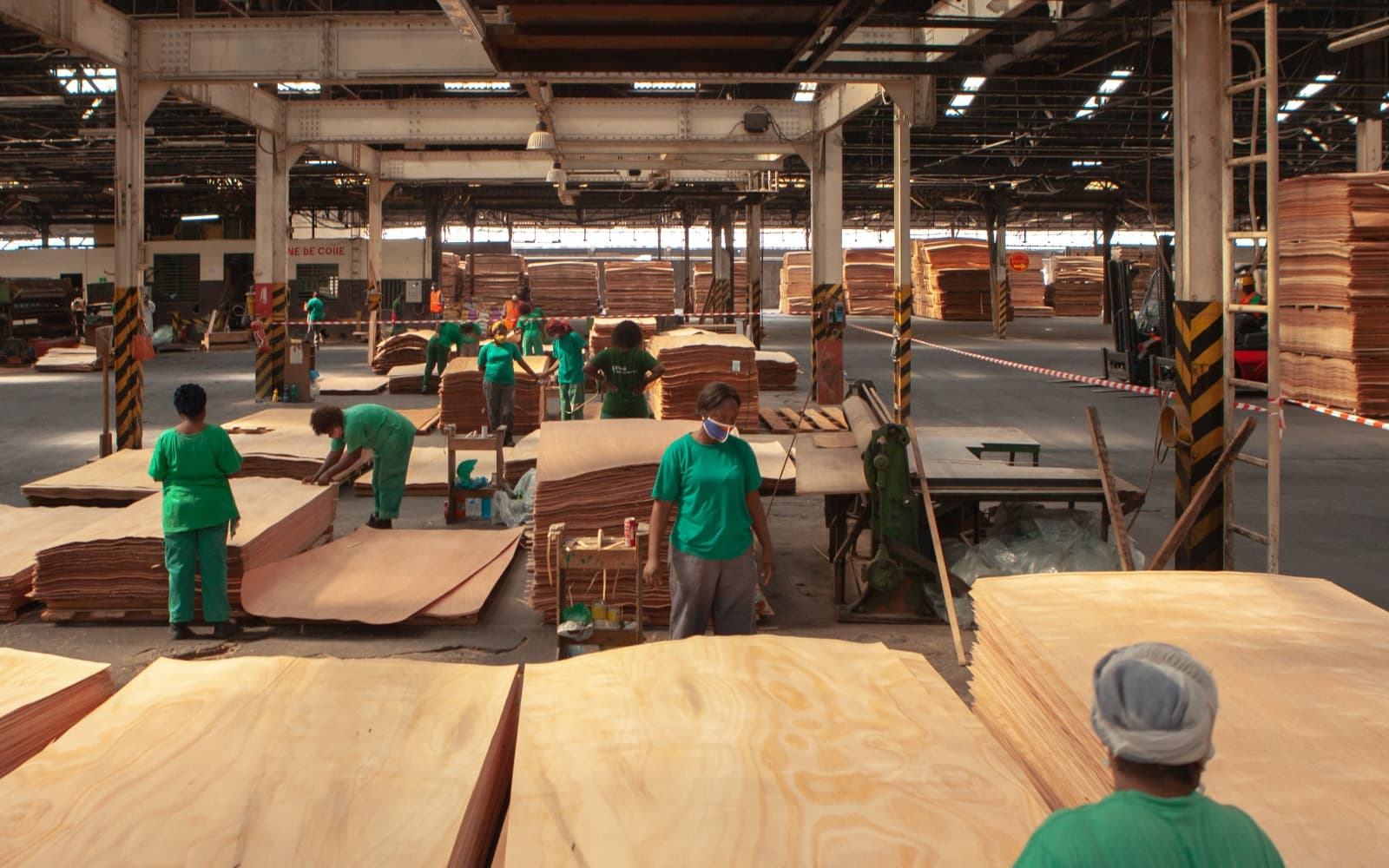 Grande Mayumba and Corà Wood Gabon to form Joint Venture to strengthen Forestry and Timber Businesses image