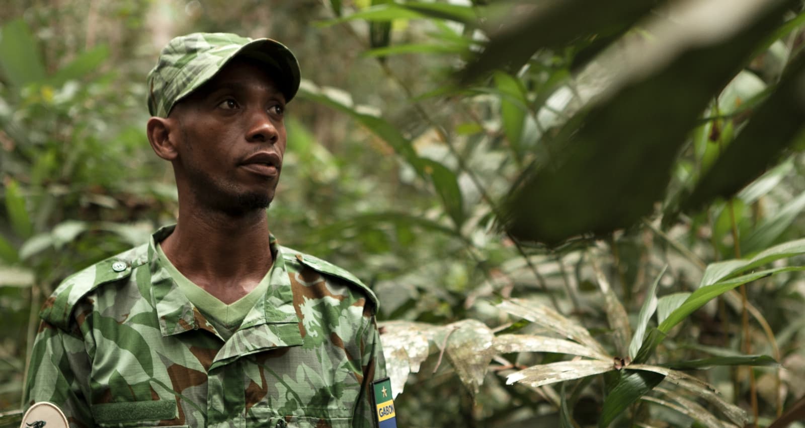 GABON: Launch of ForestLAB initiative for forest monitoring