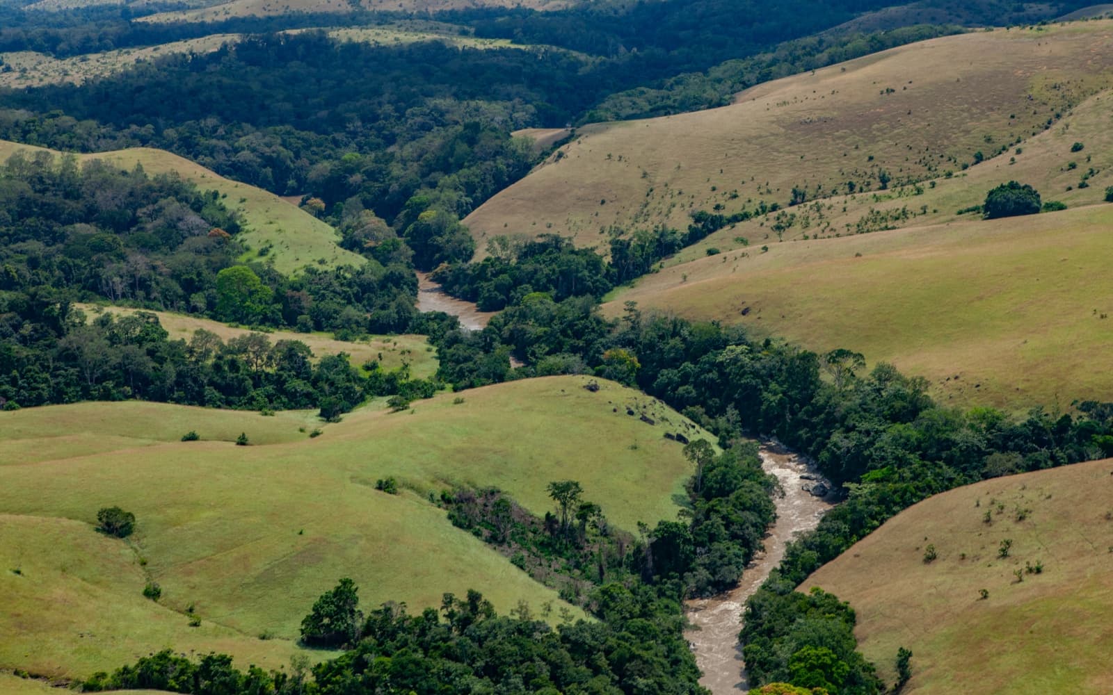 ACDG and CENAREST join forces to build a research centre for sustainable development