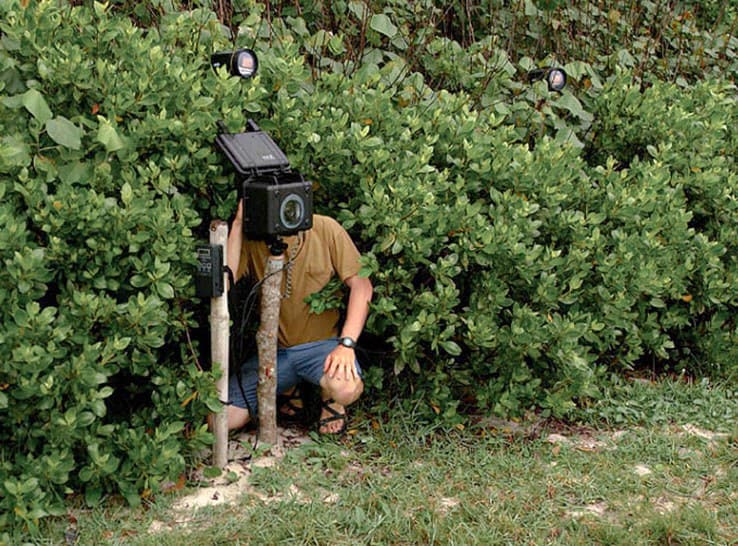 ACDG - CENAREST / forestLAB: Agreement for the implementation of a research centre on sustainable development