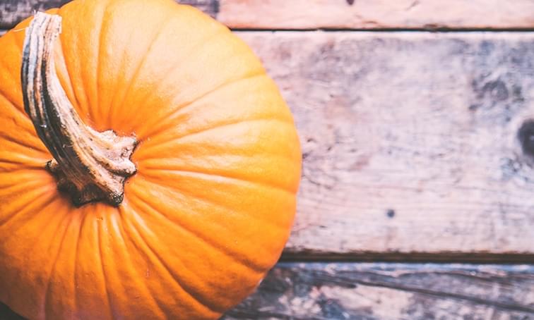 halloween pumpkin