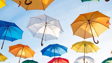 insurance brokers, a photo of umbrellas protecting people below