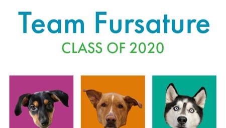 Team Fursature class of 2020 with 3 dogs