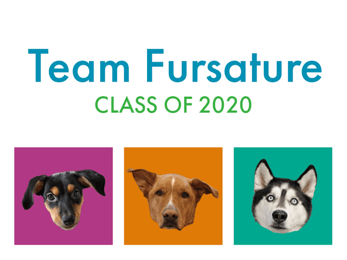 Team Fursature class of 2020 with 3 dogs