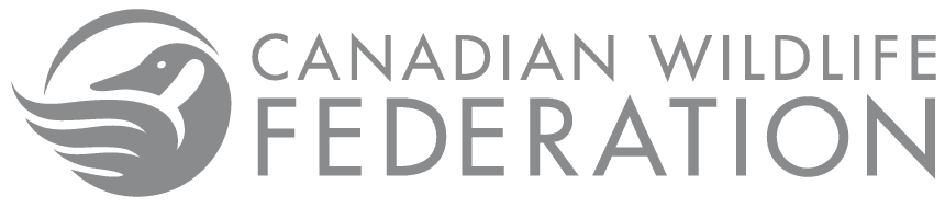 Canadian Wildlife Foundation