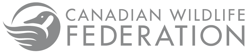 Canadian Wildlife Federation