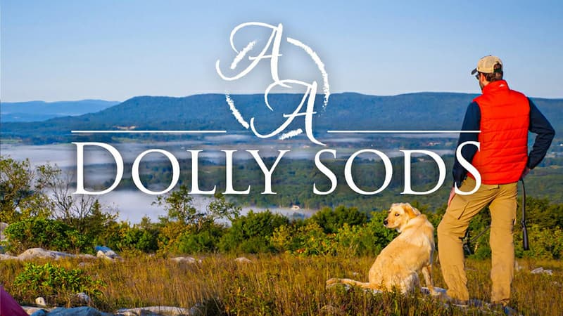 Cover dolly sods 2020
