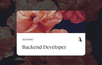 Backend Developer