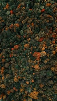 Clay banks t RX Pl FCK9c unsplash