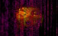 Self sovereign data 2 1