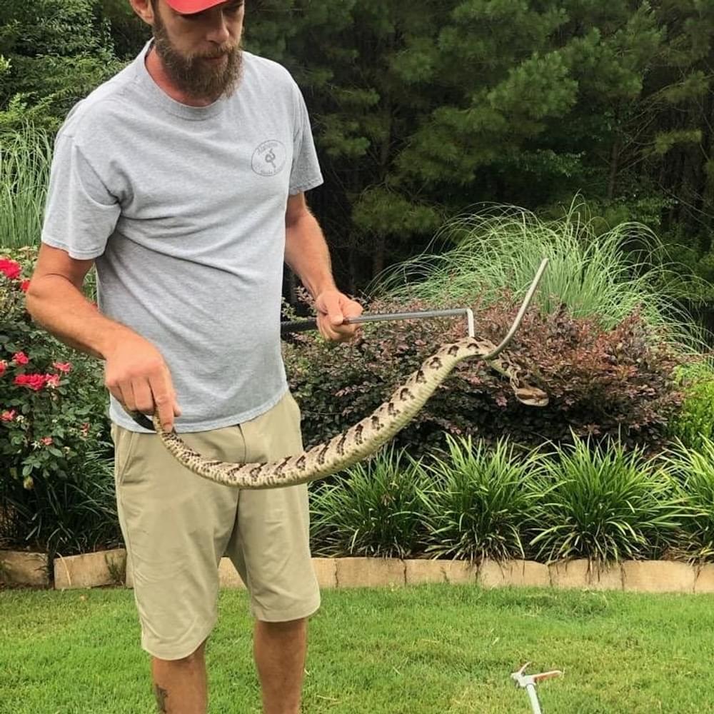 Hay timber RATTLER Alabama News