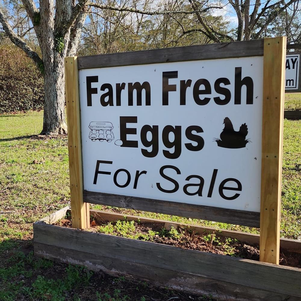 Farm fresh eggs for sale