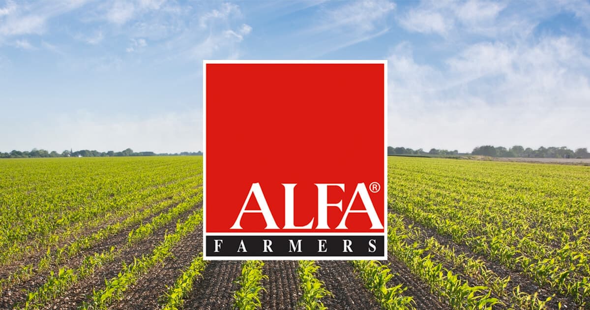 ALFA logo 4