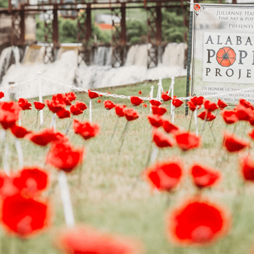 Welcome to the Alabama Poppy Project