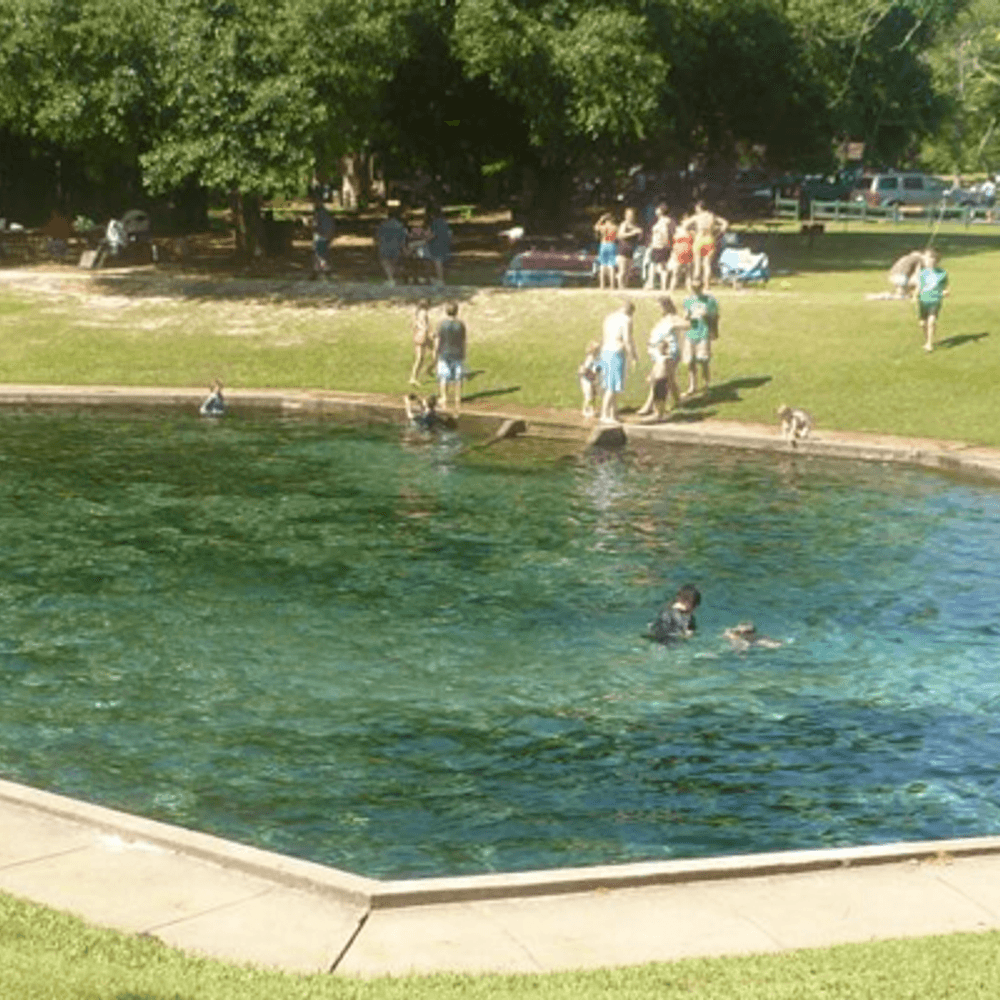 Blue Springs State Park from Alapark Alabama News