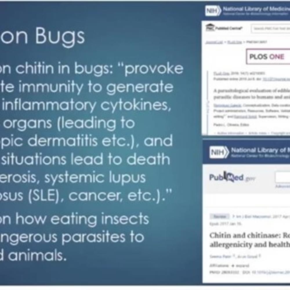 Bug Studies Alabama News