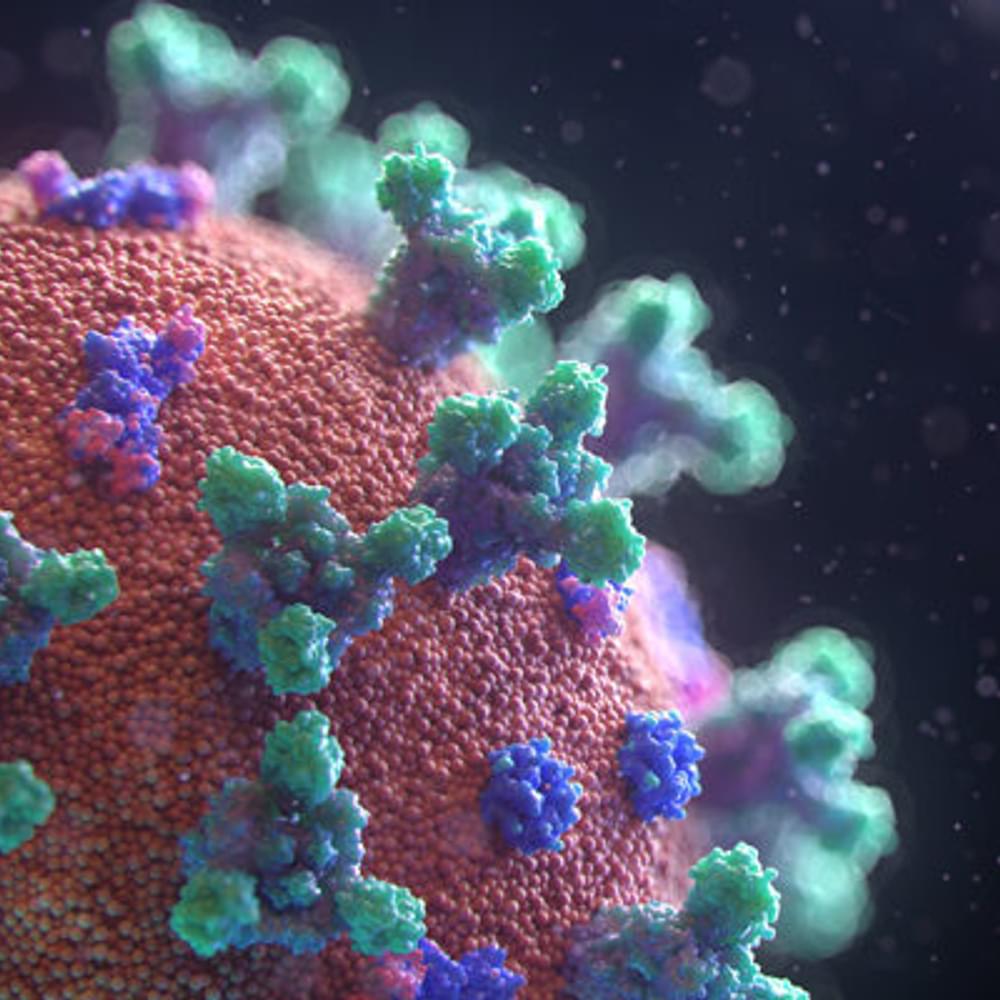 COVID 19 virus Fusion Medical animation unsplash com