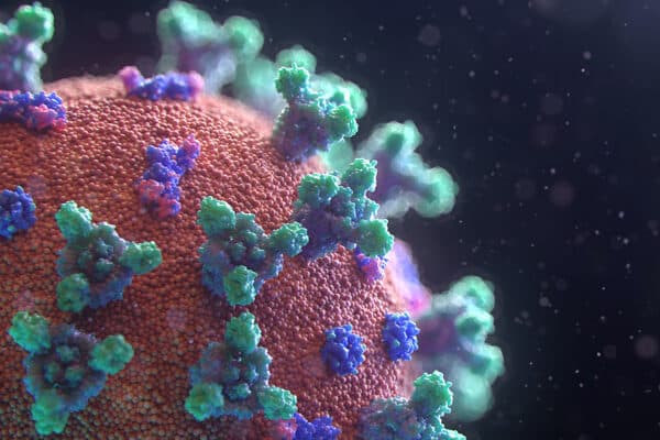 COVID 19 virus Fusion Medical animation unsplash com
