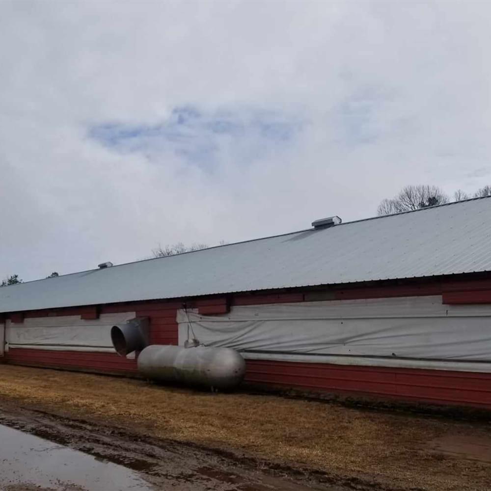 Chicken House 2 Alabama News