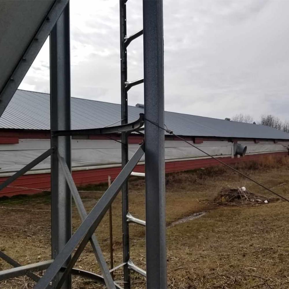 Chicken House 3 Alabama News
