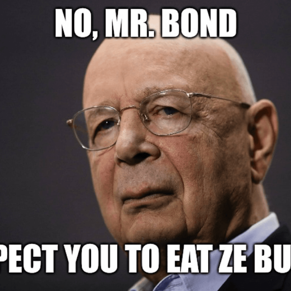 Eat Ze Bugs Alabama News