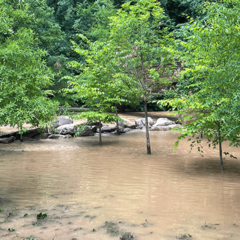 Flooding at Jemison Park II from Will Blakely