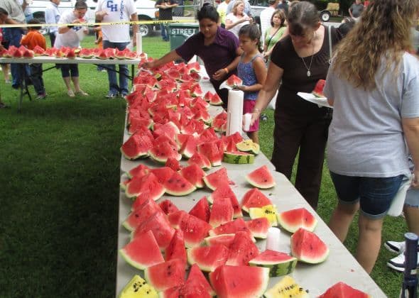 Franklin County Watermelon Fest from North Alabama org