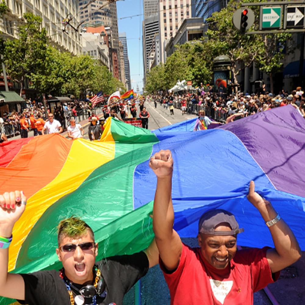 GAY PRIDE TRANSGENDER LGBTQ PARADE FLAG AP Photo by Noah Berger