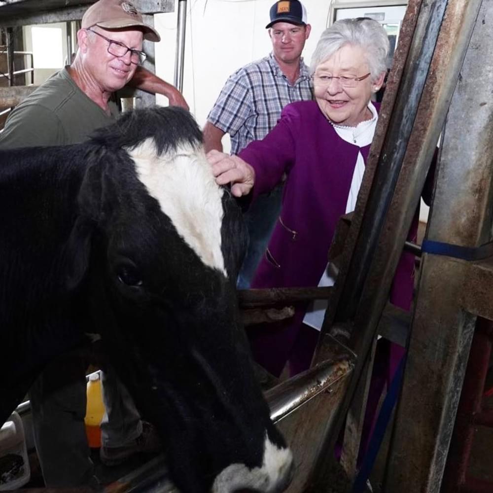 Milking the market: Lamar County farm transitions from dairy to beef production 11 Gilmer Familly Farm 2 Alabama News