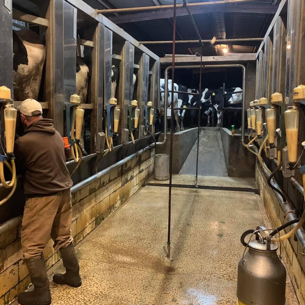 Milking the market: Lamar County farm transitions from dairy to beef production 9 Gilmer Familly Farm 4 Alabama News