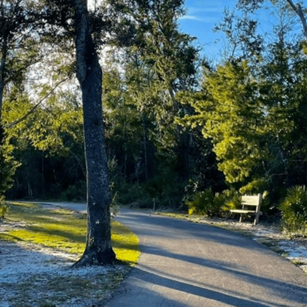 Gulf State Parks from Alapark Alabama News
