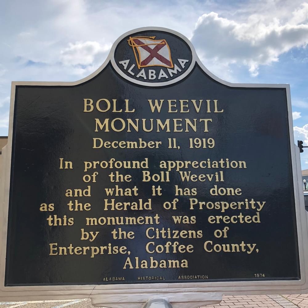 Boll Weevil Monument Alabama News