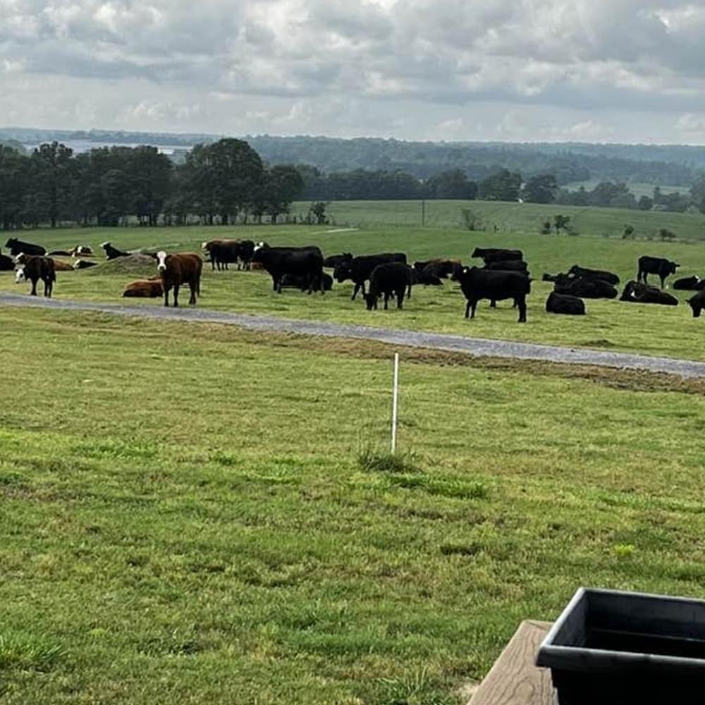 John Hannahs farm Alabama News
