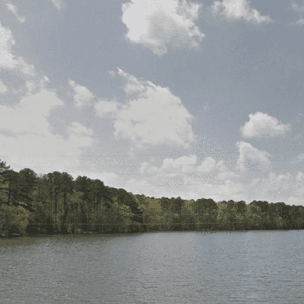 Lake Purdy Photo from Google Maps Alabama News