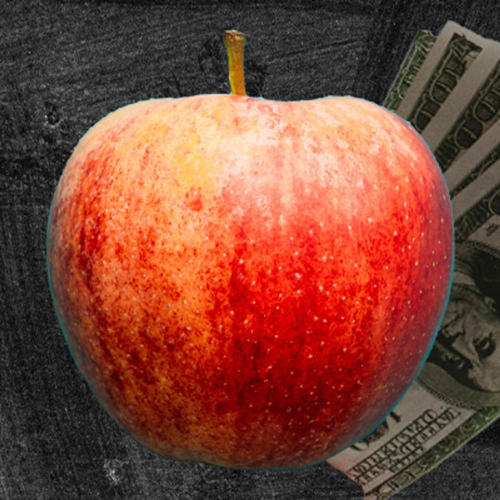 MONEY SCHOOLS EDUCATION APPLE CASH CHALKBOARD BY Noita Digital Louis Hansel and Sharon Mc Cutcheon Alabama News