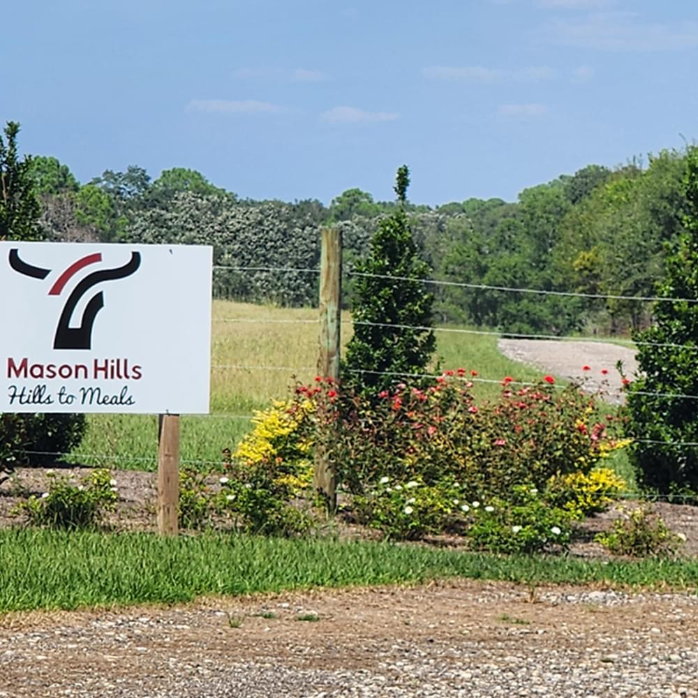 Mason Hills 1 Alabama News