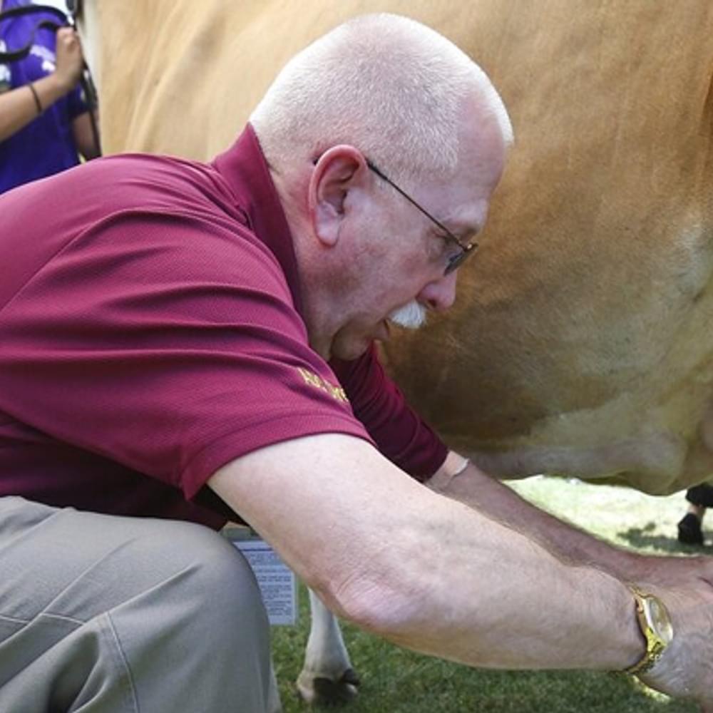 Milk Cow AP Photo by Ross D Franklin Alabama News
