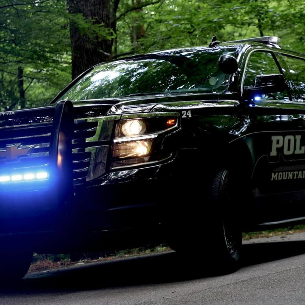 Mountain Brook Police Alabama News