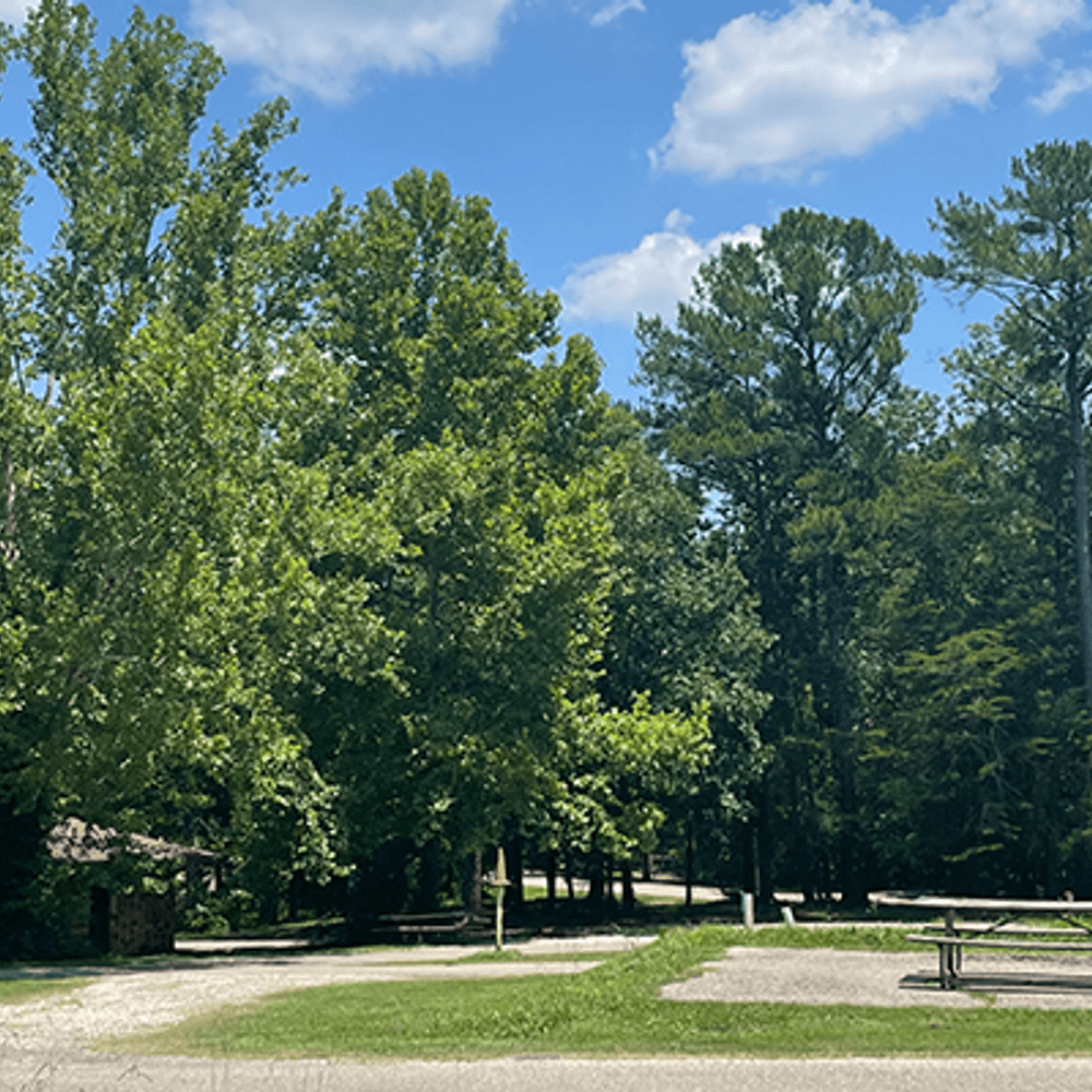 Oak Mountain State Park from Will Blakely Alabama News