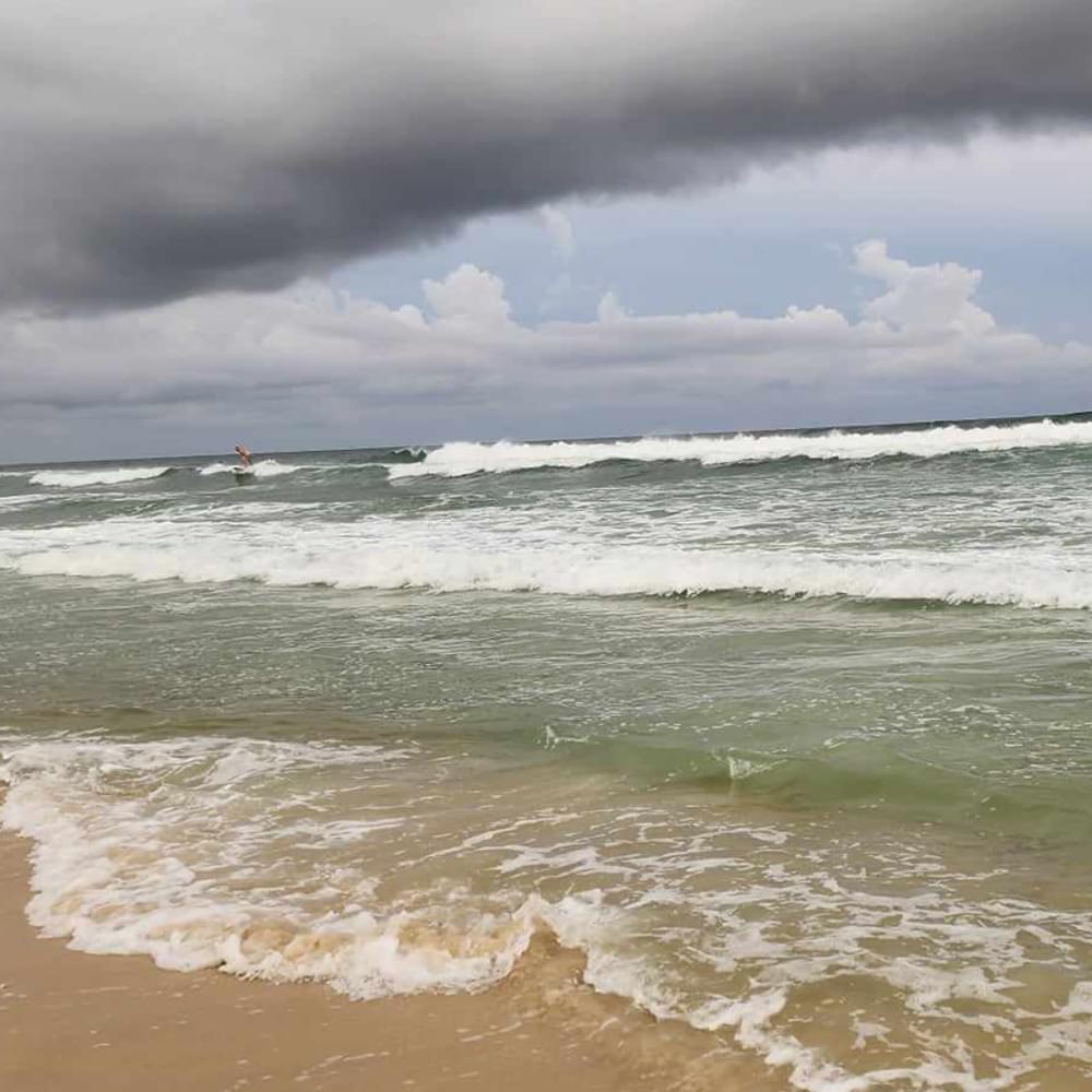 Orange Beach Alabama News