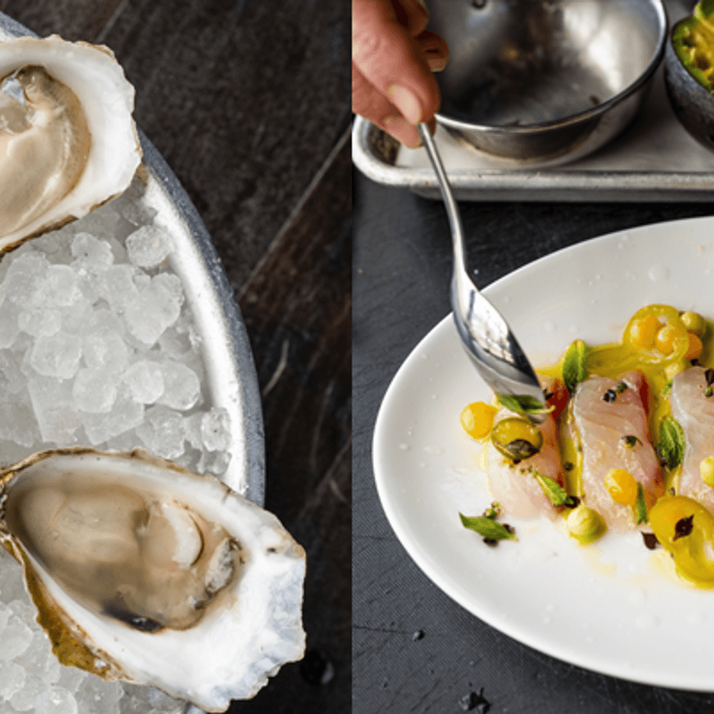 Oysters and Fish from Automatic Seafood Oysters in Birmingham by Chancey Photography