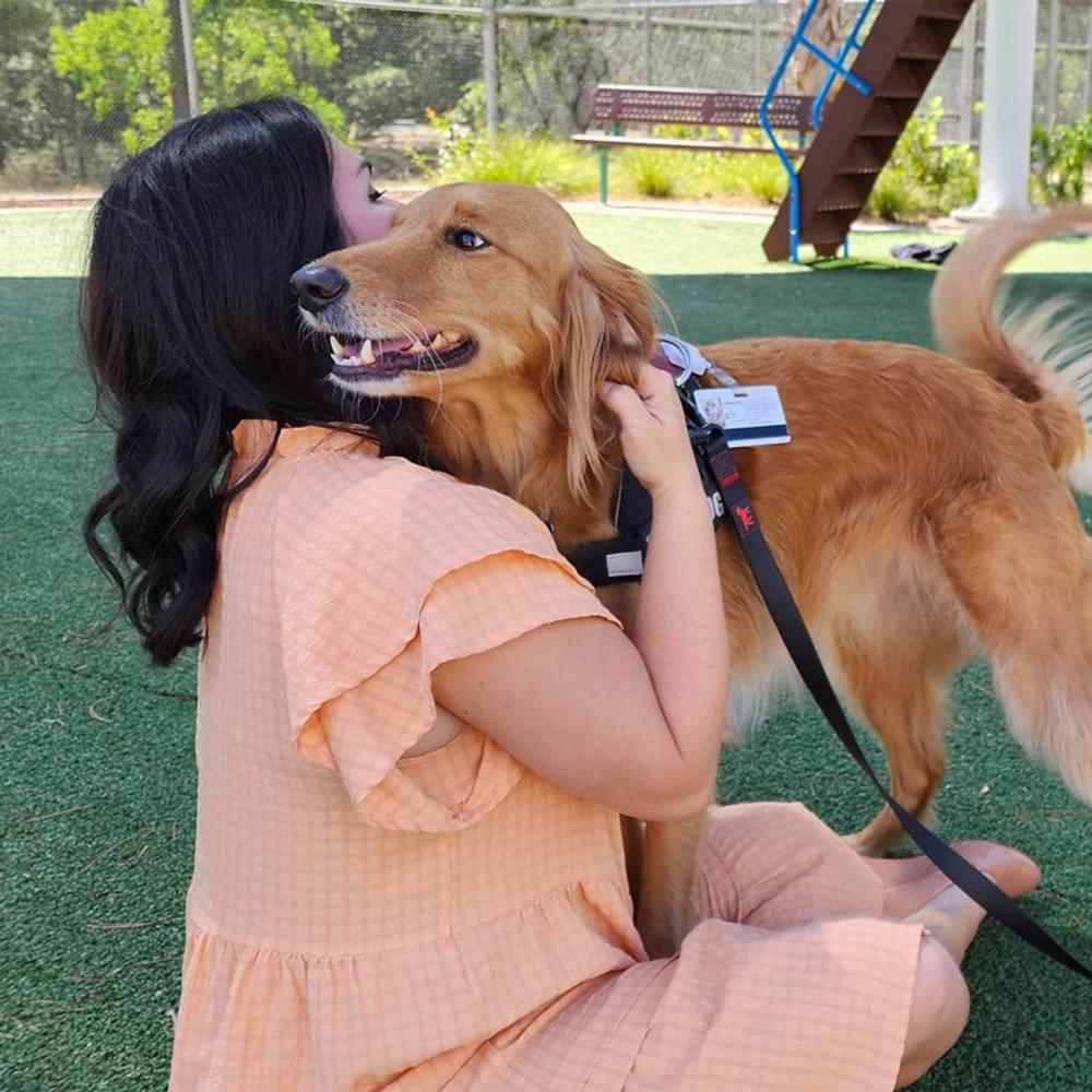 Pet therapy 3 Alabama News