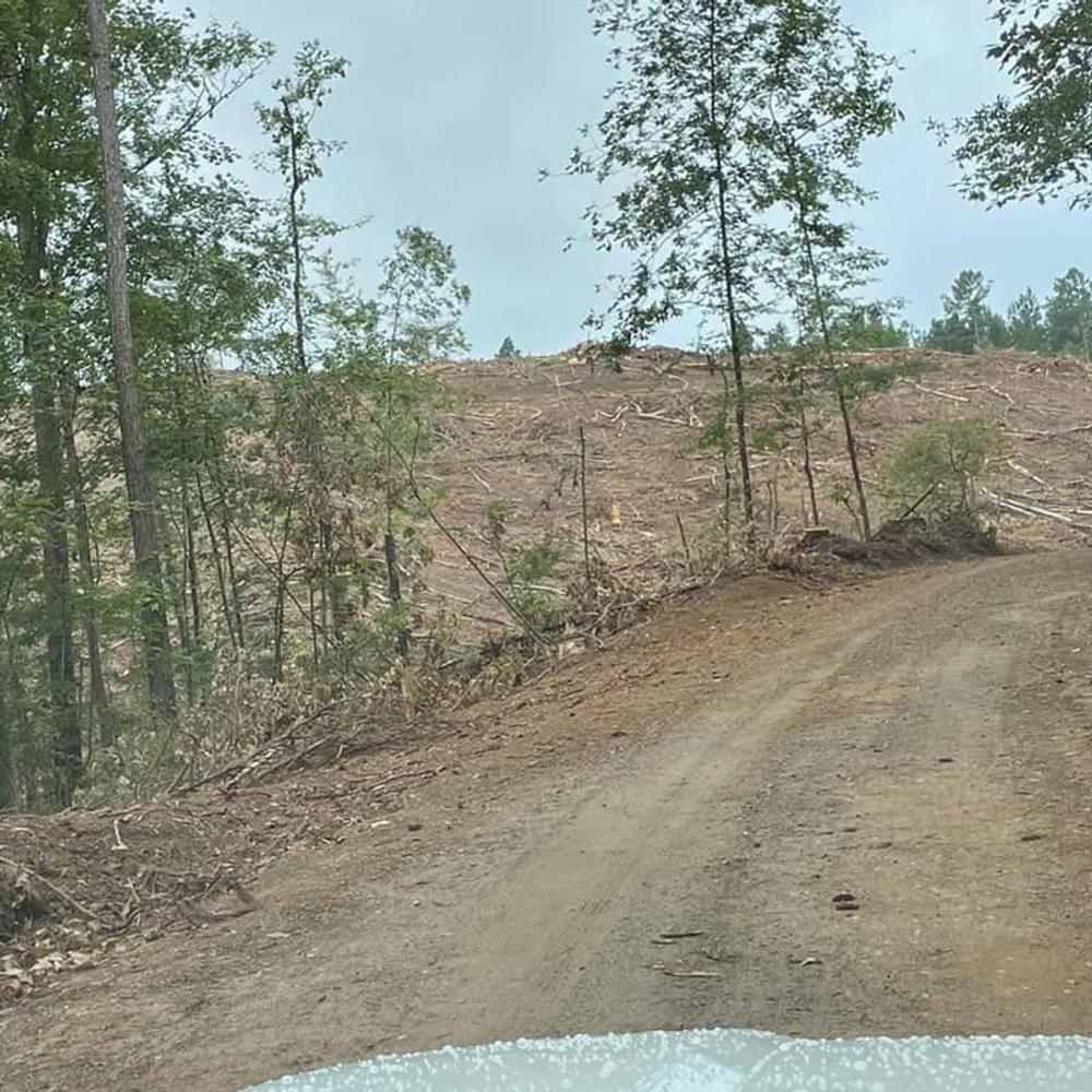 Photo from Kevin Forsyth Alabama News