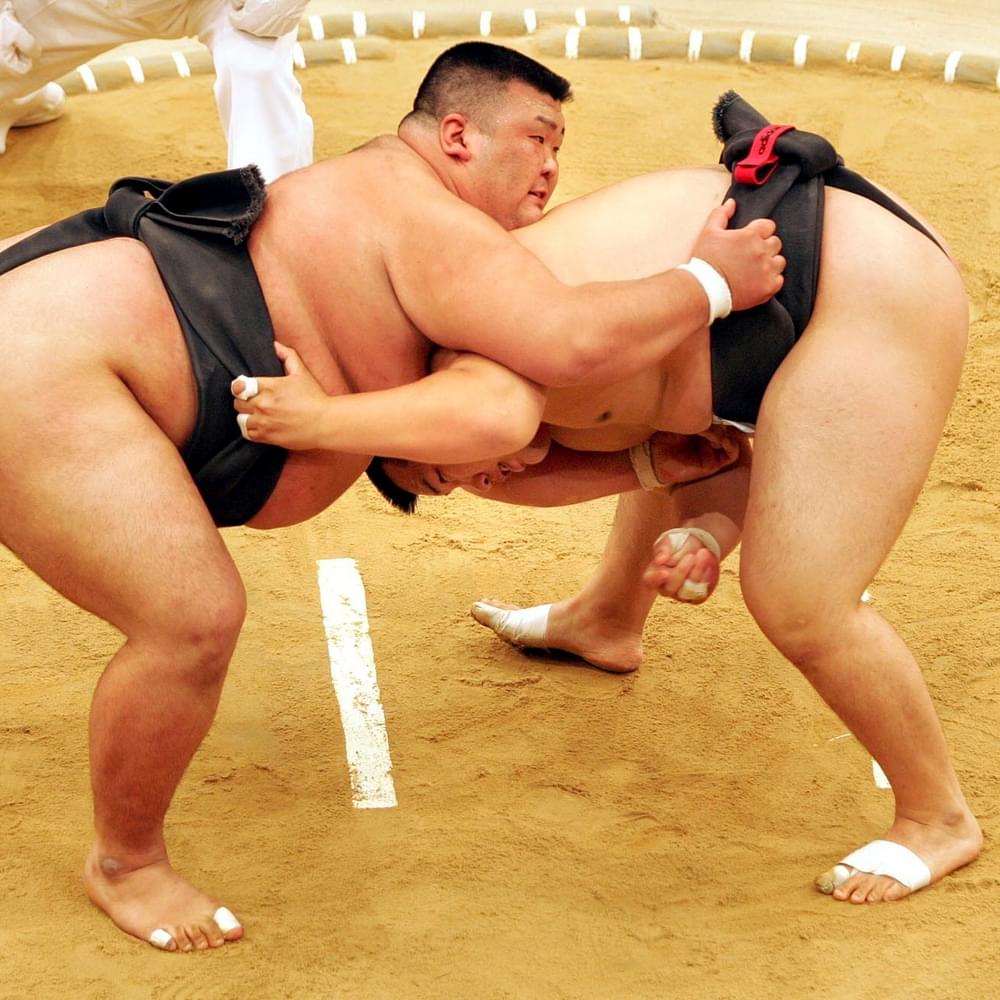 Sumo wrestling AP22187662463518 AP Photo by Martin Meissner Alabama News