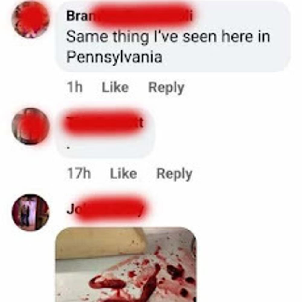 Text 1 Alabama News
