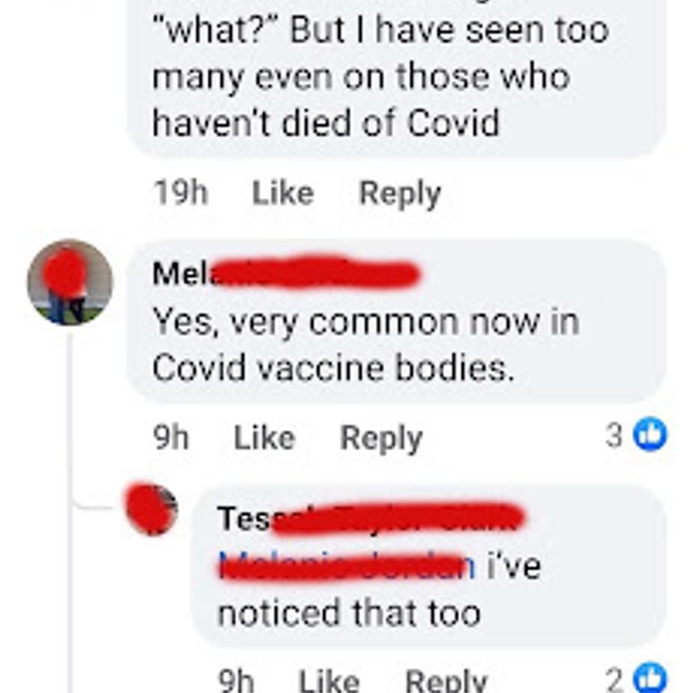 Text 2 Alabama News